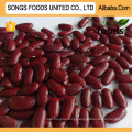 Edible Kidney Beans, Songs Foods Red Kidney Beans